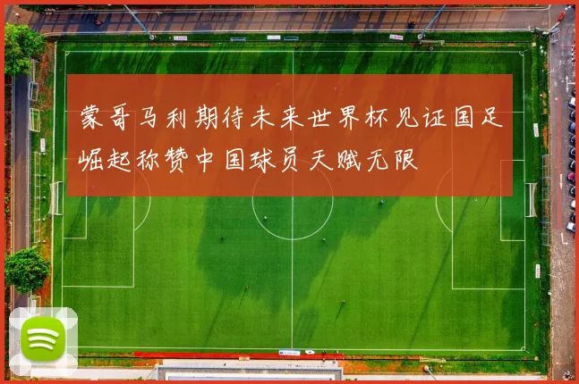 蒙哥马利期待未来世界杯见证国足崛起称赞中国球员天赋无限